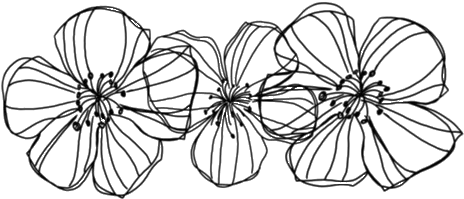 Lul - Flower Png Tumblr Black (500x288), Png Download