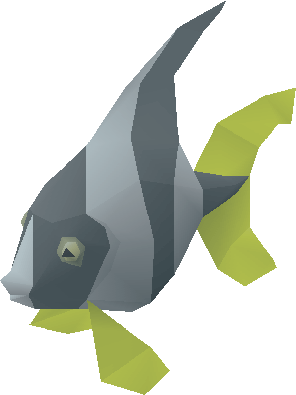 Angel Fish - Wiki (582x778), Png Download