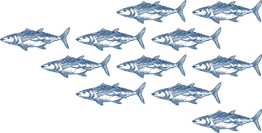 School Of Fishes - Fish (902x460), Png Download