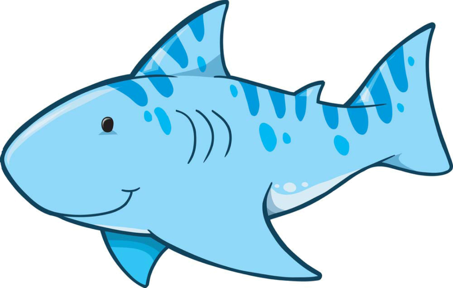 School Logo - Cute Shark Vector (900x572), Png Download