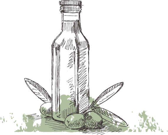 Drawn Bottle Olive Oil - Olive Oil Drawing Png (571x459), Png Download