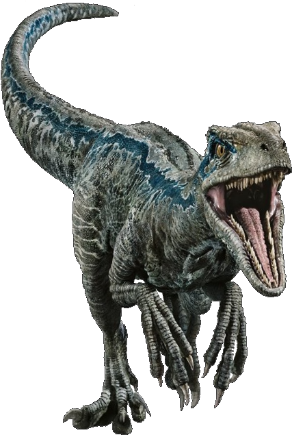 Fallen Kingdom Blue The Velociraptor V2 By Sonichedgehog2-dc8uw1o - Imagenes De Blue Jurassic World (607x646), Png Download
