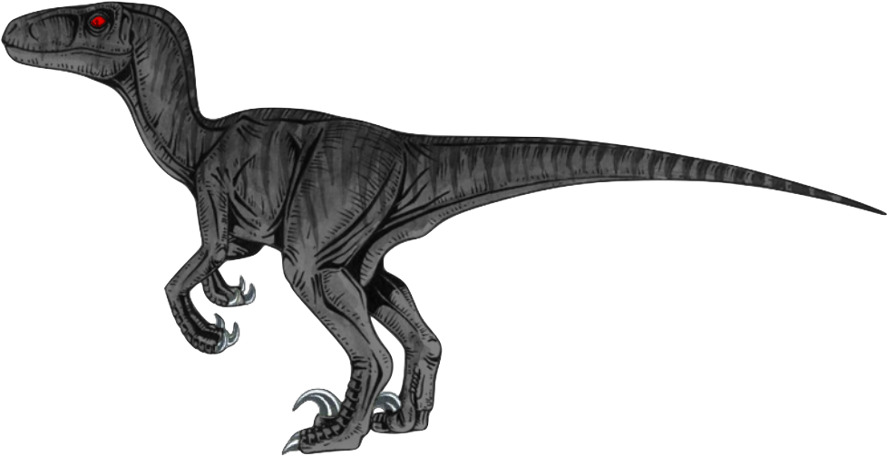 Velociraptor Png Transparent Hd Photo - Black Velociraptor (1005x514), Png Download