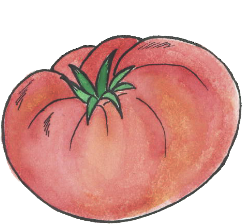 Redtomato - Strawberry (1427x1031), Png Download