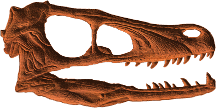 Velociraptor Skull - Velociraptor Skull Png (430x430), Png Download