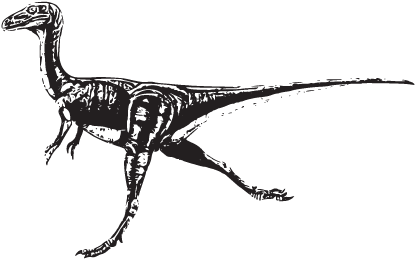 100 Dinoprints Messages Sticker-7 - Compsognathus Dinosaur (420x420), Png Download