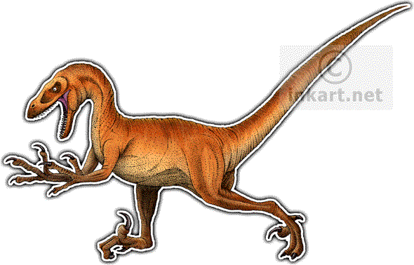 Velociraptor Decal - Velociraptor Oval Car Magnet (590x378), Png Download