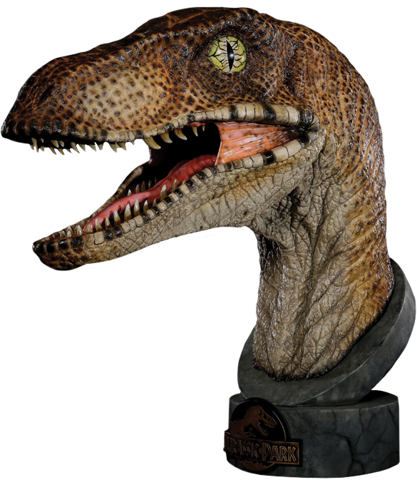 1 Scale Life Size Bust - Velociraptor Head Jurassic Park (585x673), Png Download