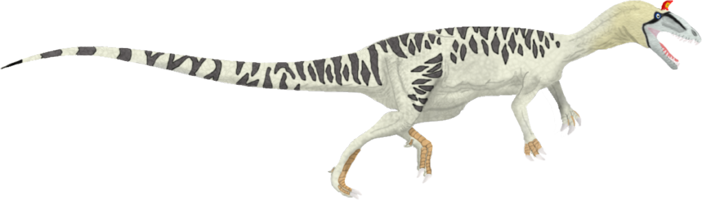 User Posted Image - User (1022x292), Png Download