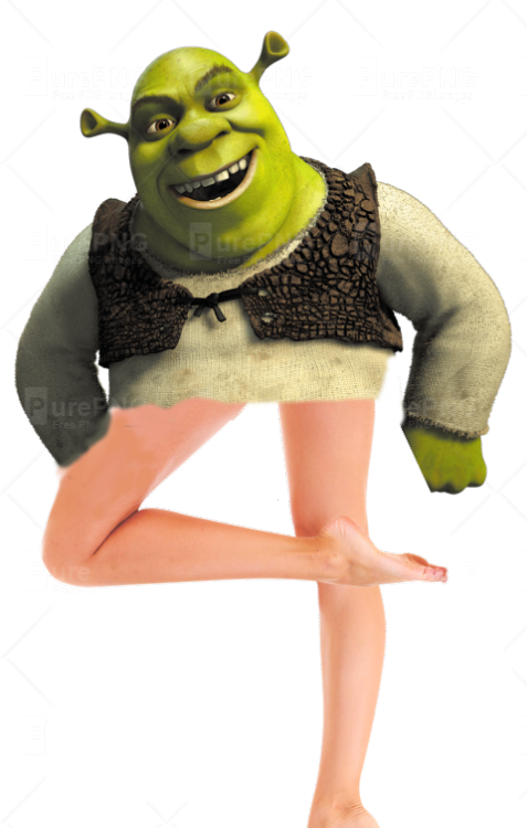 What If Shrek Had Legs - Shrek And Donkey Love (477x750), Png Download