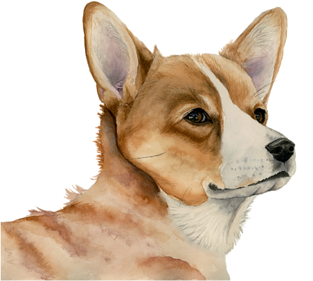 Bleed Area May Not Be Visible - Welsh Corgi Dog Painting (600x450), Png Download