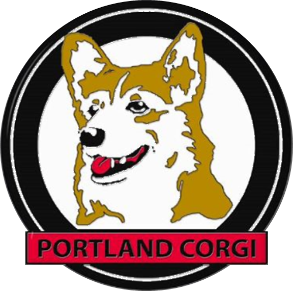 Portland Corgi Meet-up Group - Portland (576x571), Png Download