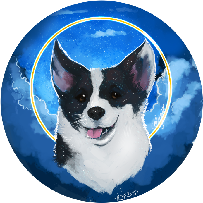 Also A Corgi - Companion Dog (990x765), Png Download