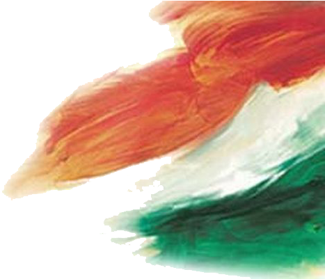 Heal India Heal - Shaping Of India's New Foreign Policy (500x400), Png Download