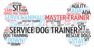 Adb Header Template Tag Dog Bone - Graphic Design (734x250), Png Download