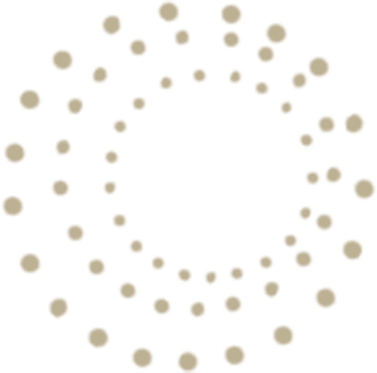 Polka Dot Circle Png Picture Download - Disk (734x726), Png Download
