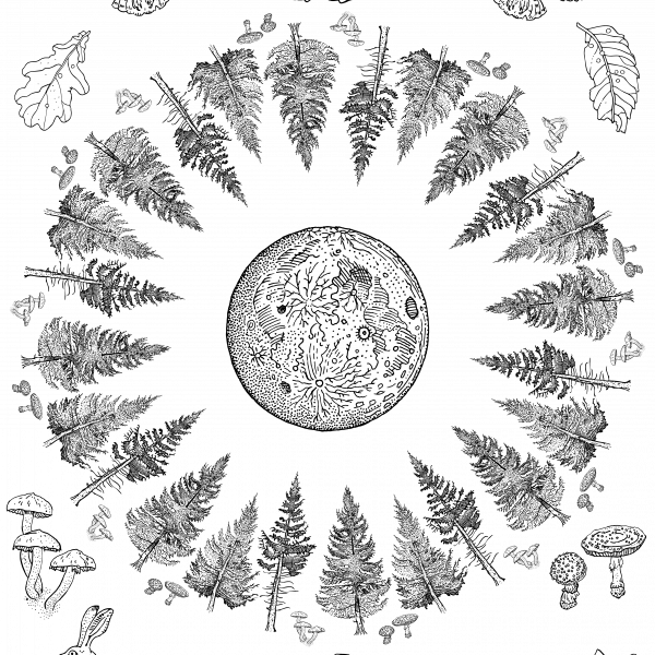 Forest Full Moon Magic - Fiechte Mit Reh Tattoo (600x600), Png Download