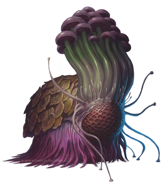 3 May - Saproling (545x700), Png Download