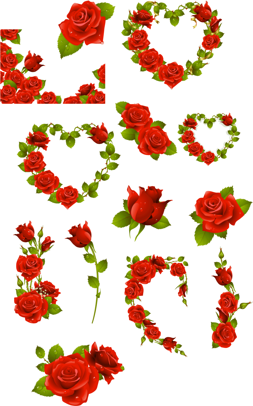 Dozen Roses Clipart - Garden Roses (900x1492), Png Download