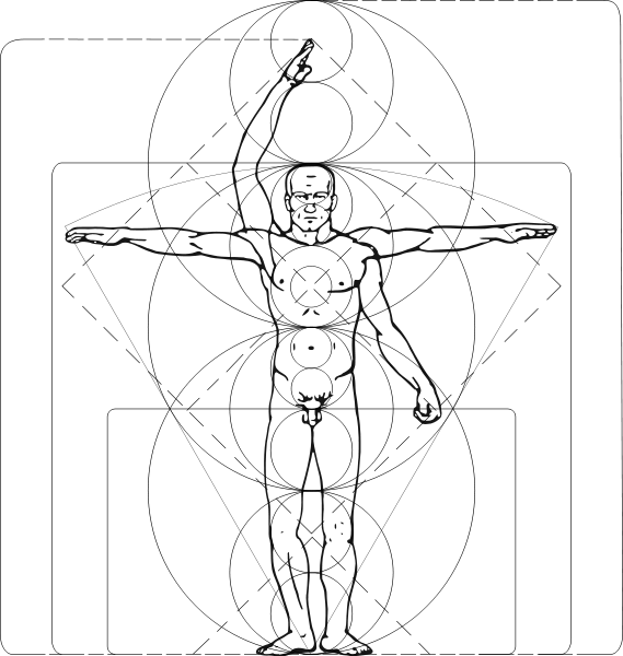 Vitruvian Man Clipart Png (569x600), Png Download