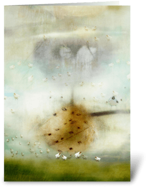 Hipstabird Series Greeting Card - Leaning Into The Light (350x396), Png Download