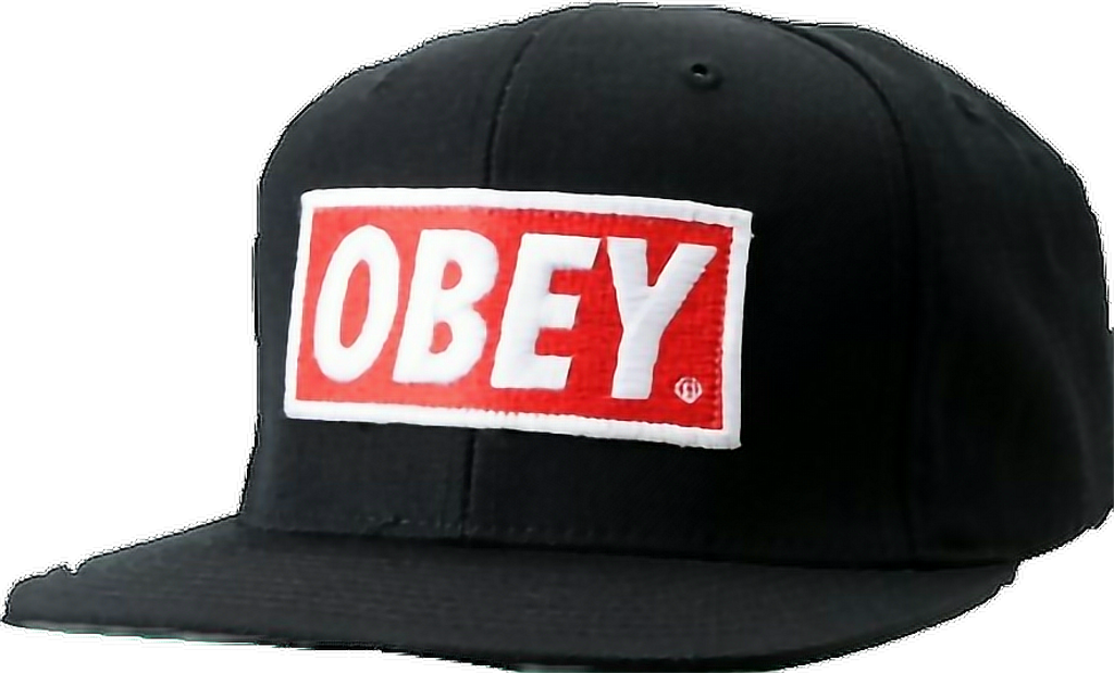Report Abuse - Obey Snapback (884x534), Png Download