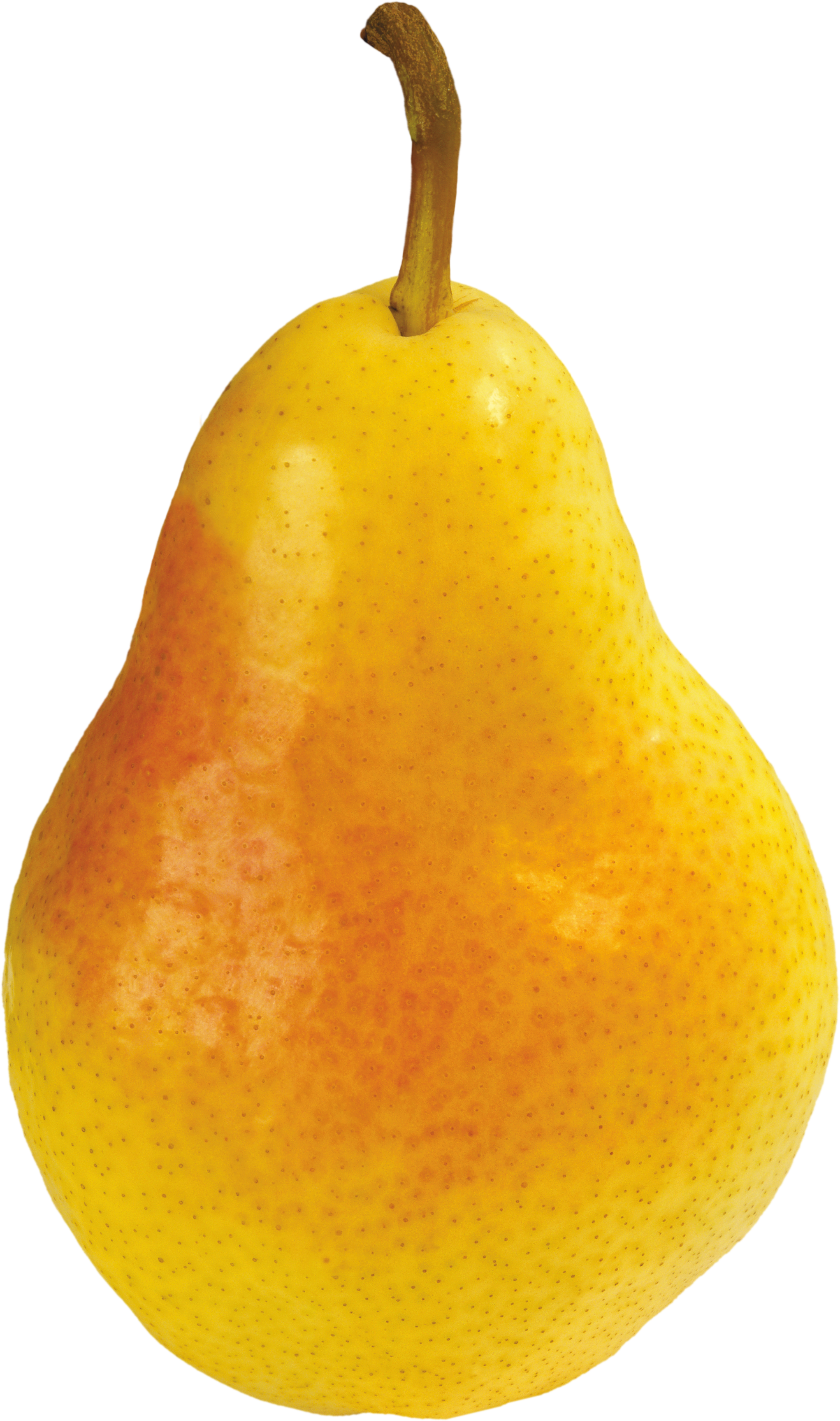 Pear Png Image - Груша Пнг (2042x3453), Png Download