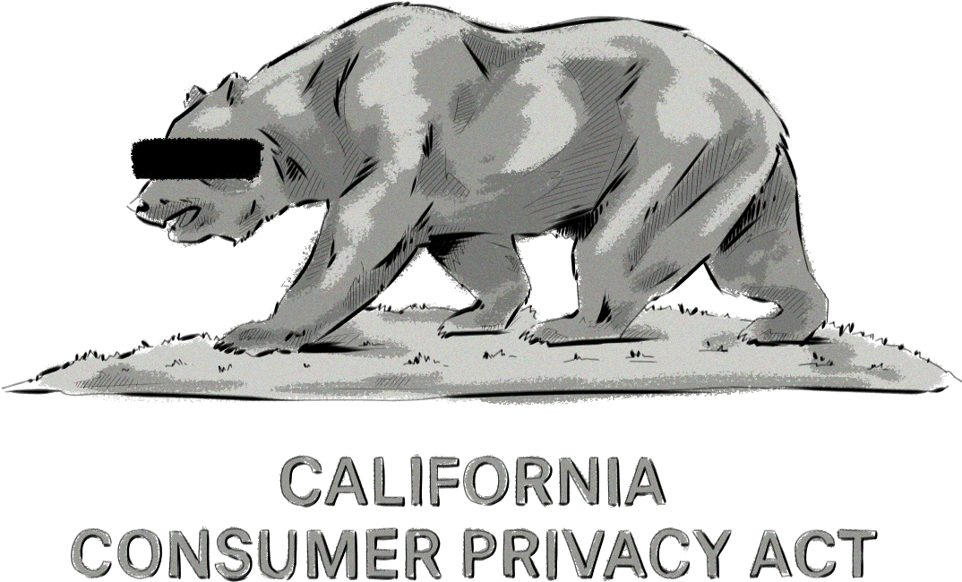 What Is The California Consumer Privacy Act And What - Consumer Privacy (1200x960), Png Download