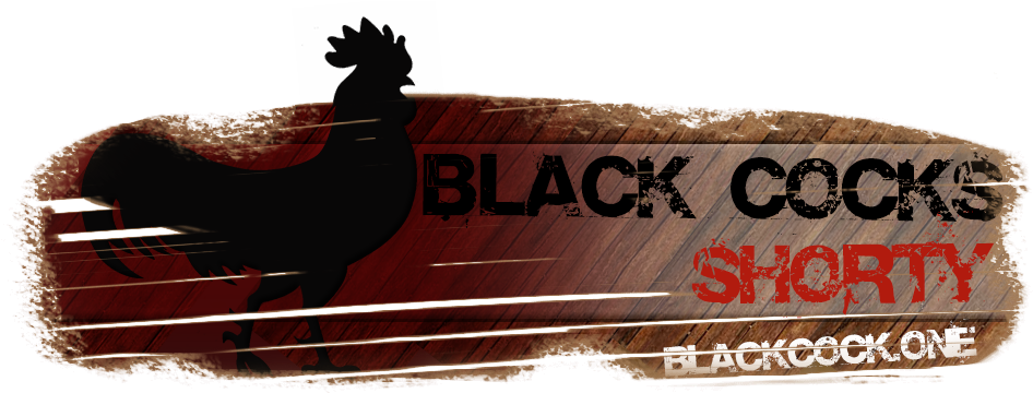 Go - Wicked Smaht Throw Blanket (957x372), Png Download