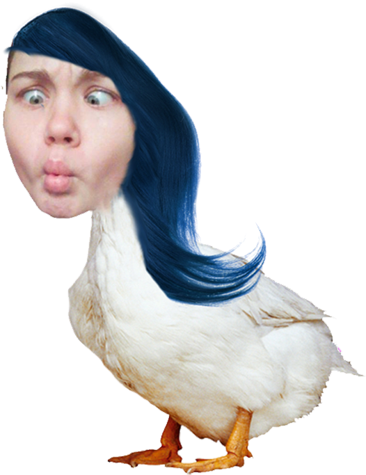 This Media May Contain Sensitive Material - Ducks Calendar 2015: 16 Month Calendar [book] (700x700), Png Download