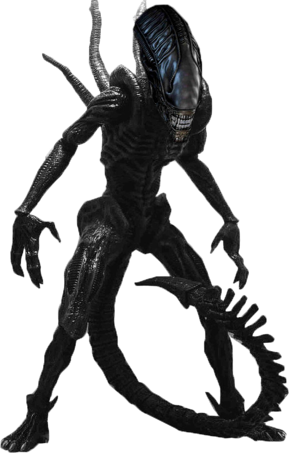 Xenomorph - Xenomorph Png (582x910), Png Download