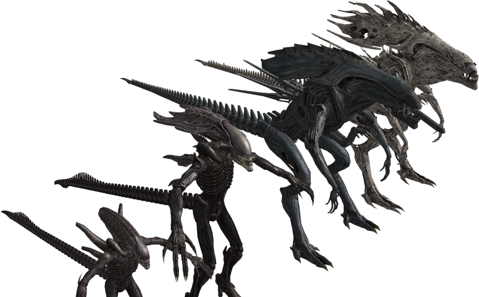 Alien Queen Vs Alien King - Alien King And Queen (1024x576), Png Download