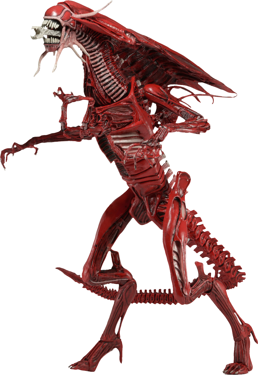Aliens - - Neca Alien Red Queen (859x1249), Png Download