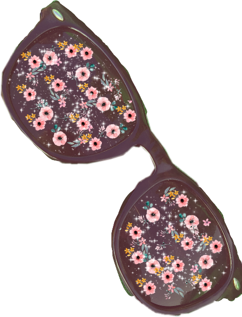 Panties (480x628), Png Download