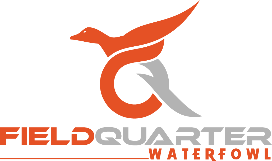 Png Logo Download - Graphic Design (1920x1080), Png Download