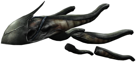 Download Zip Archive - Dolphin (750x650), Png Download