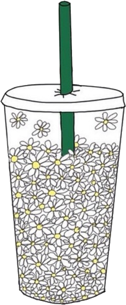 Drink Starbucks Coffee Cup White Flowers Daisy Aestheti - Overlays Transparent Tumblr Flowers (1036x1024), Png Download