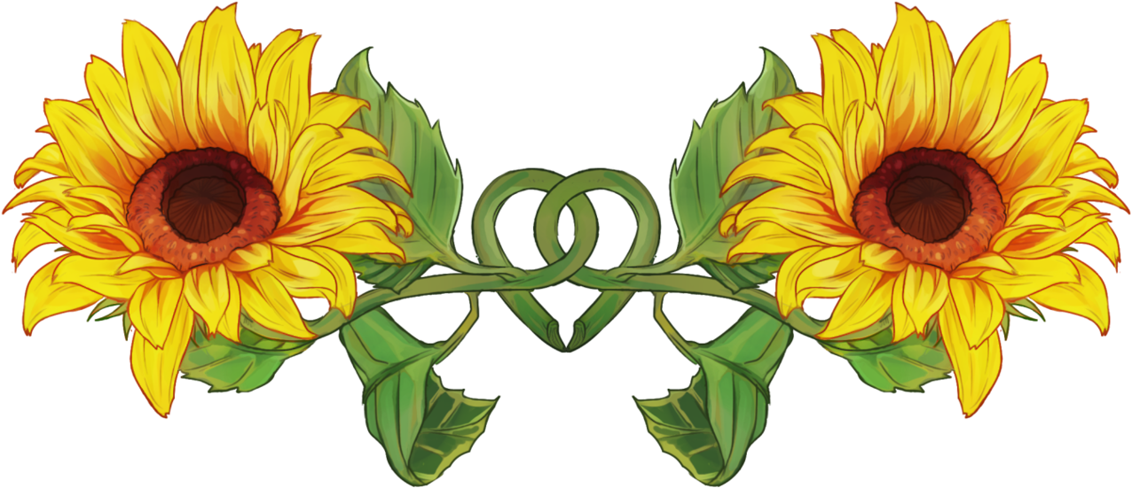 28 Collection Of Sunflower Drawing Tumblr Transparent - Common Sunflower (1280x711), Png Download