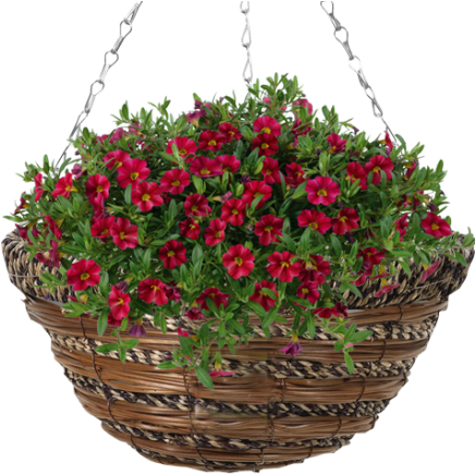 Clip Royalty Free Library Cm Sisal - Gardman Sisal Rope & Fern Hanging Basket Natural (475x435), Png Download