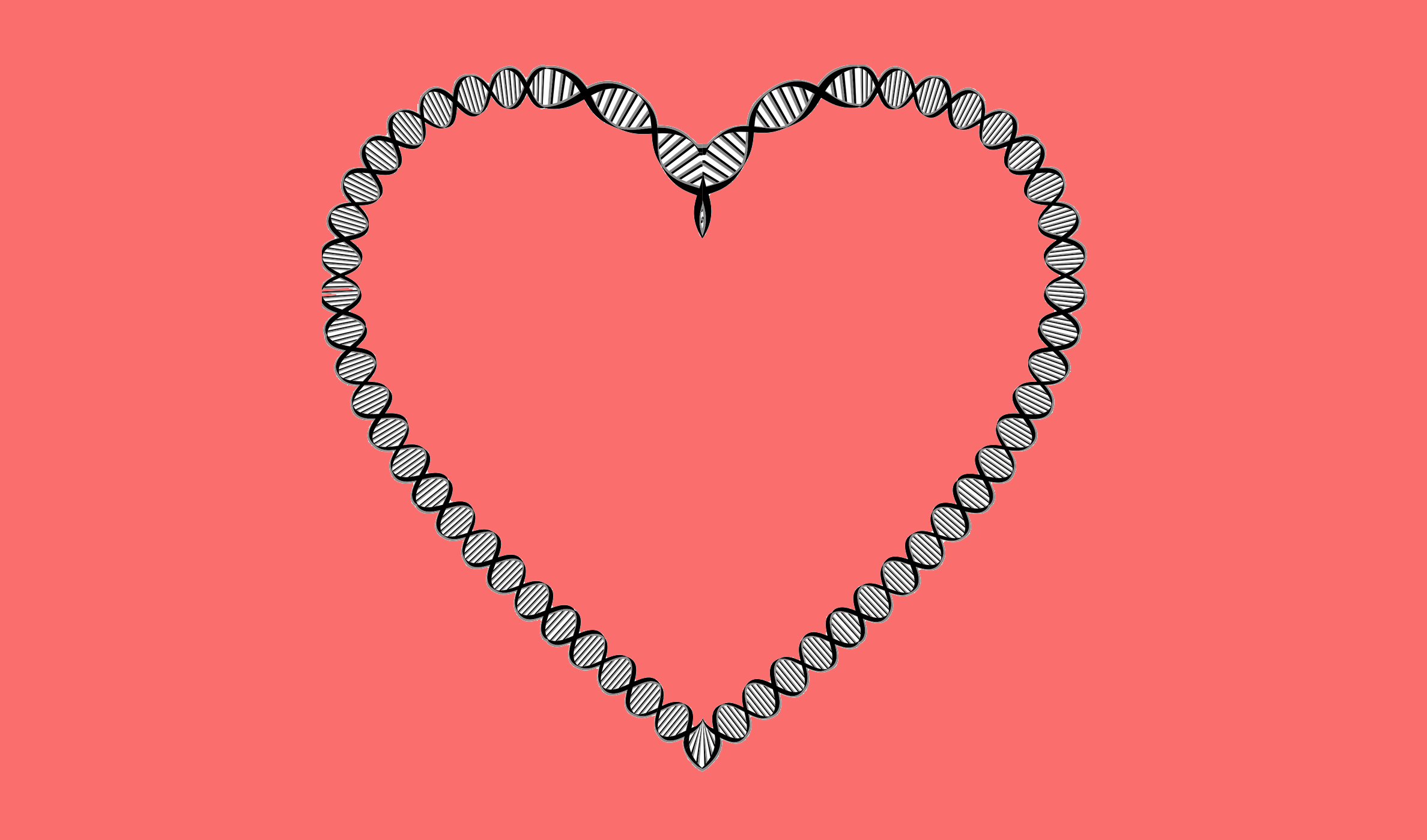 One Of The Main Challenges Of Using Cardiomyocyte Patches - Heart (2376x1399), Png Download