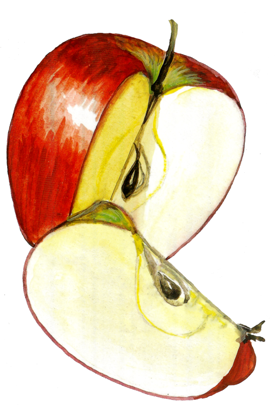 Apples - Portable Network Graphics (538x800), Png Download