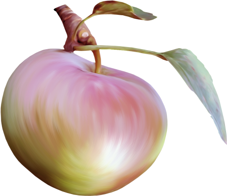 Apples, Png, Fruit - Peel (510x463), Png Download