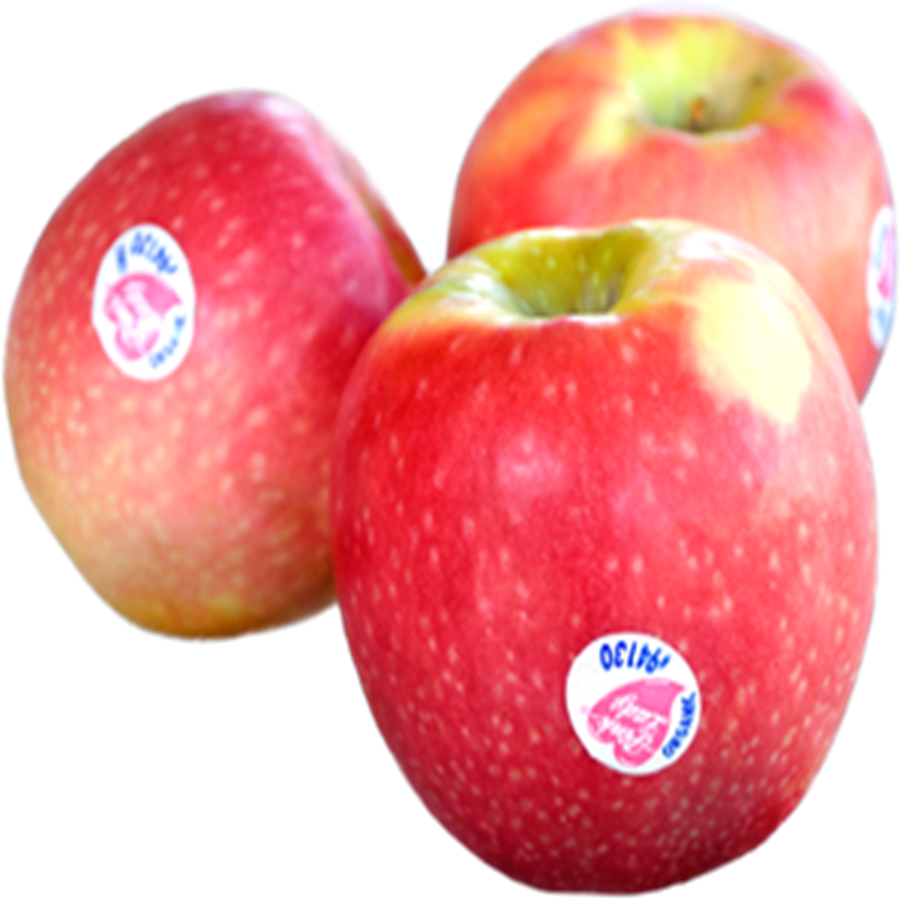 Clipart Free Library Apple Red X S Box Kg Jackie - Pink Lady Apples Png (900x900), Png Download