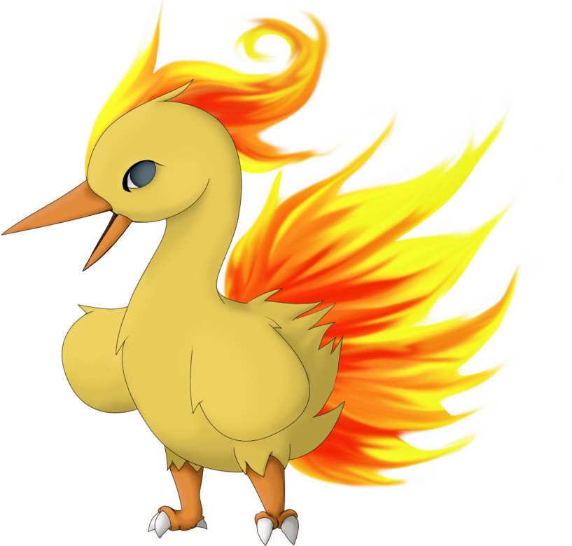 Pre-evo Of Moltres Flaros By Twime777 On Deviantart - Articuno (900x807), Png Download