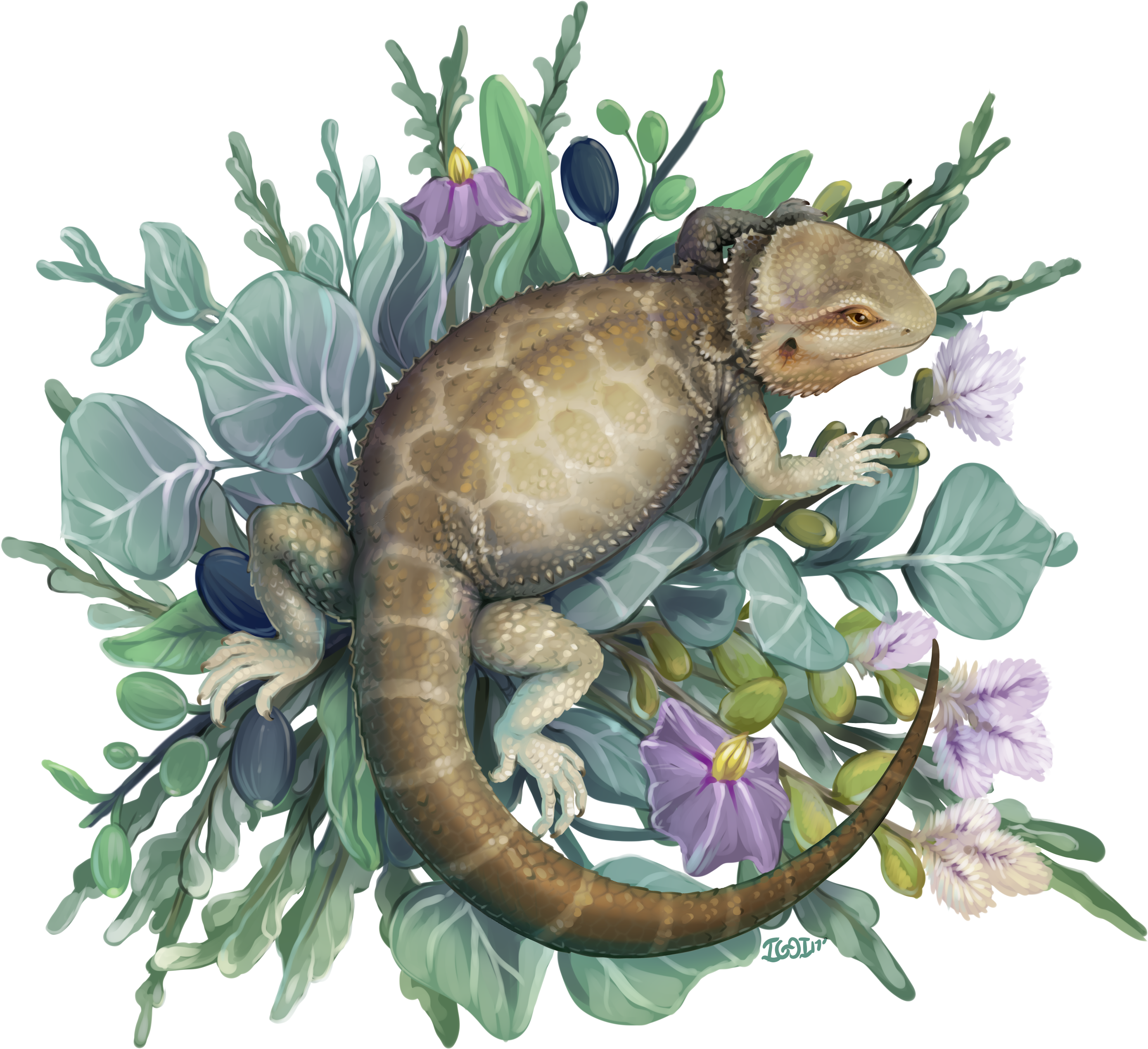 $1000 - Dakimakura Reptile (3850x2975), Png Download