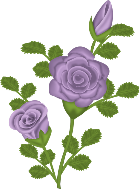 Purple Depressed Rose With White Background - Happy New Month September (469x631), Png Download