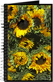 Hudson Valley Farm Art - Chrysanths (350x350), Png Download