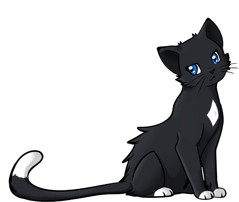 Warriors Cats Png Banner - Dare Me Anything (800x700), Png Download