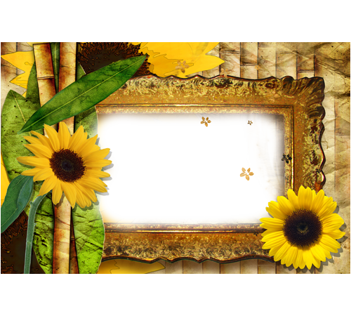 Free Icons Png - Sunflower Borders And Frames (500x450), Png Download