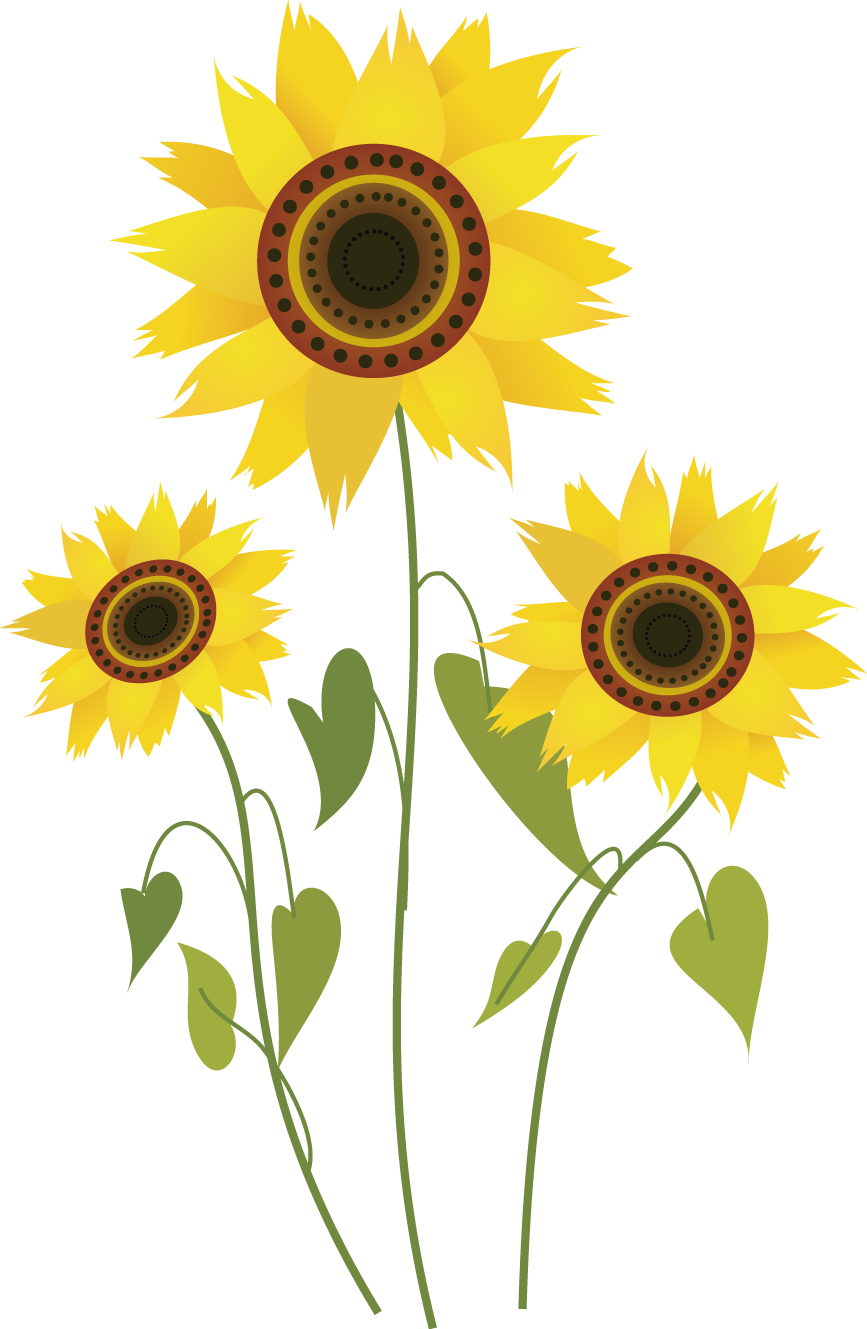 Common Sunflower Drawing Computer - Sunflower Drawing Png (867x1329), Png Download